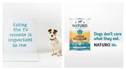 Campaign for Naturo Natural Dog Food - thumbnail 2