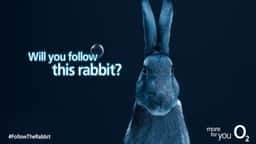 Integrated Campaign for O2 Priority Live Experiences - thumbnail 2