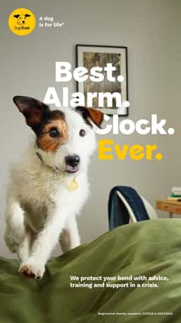 Integrated Campaign for Dogs Trust - thumbnail 8