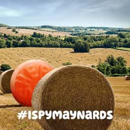 Summer Road Trip Campaign for Maynards Bassetts - thumbnail 4