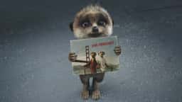 Advertising Campaign for Compare the Market Meerkat Reunion - thumbnail 4