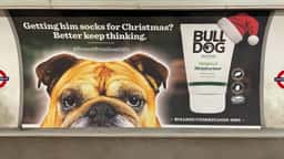 Christmas Media Campaign for Bulldog Skincare - thumbnail 2