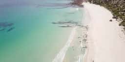 Tourism Recovery Campaign for South Australian Tourism Commission - thumbnail 3