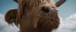 Integrated Campaign for Virgin Media O2’s WiFi Guarantee - thumbnail 6