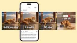 Advertising for Ontario Pet Food - thumbnail 2