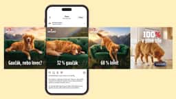 Advertising for Ontario Pet Food - thumbnail 3