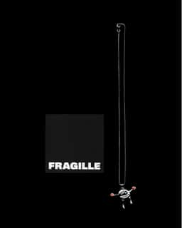 Brand Identity for Fragille Jewellery - thumbnail 9