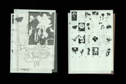 Brand Identity for Gabonsa Festival - thumbnail 8