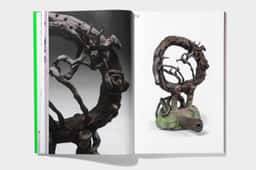 Visual Identity for Sculptor Tom Volkaert - thumbnail 5