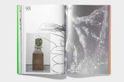 Visual Identity for Sculptor Tom Volkaert - thumbnail 8