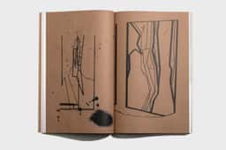 Editorial Design for Indrikis Gelzis Monograph - thumbnail 6