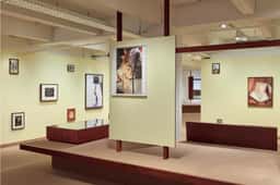 Exhibition Graphics for FOMU Collection - thumbnail 3