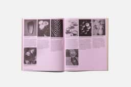 Exhibition Graphics for FOMU Collection - thumbnail 7
