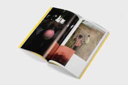 Editorial Redesign for HART Magazine - thumbnail 5