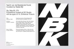 Visual Identity for Nacht van de Beeldende Kunst - thumbnail 8