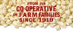 Packaging Design for Cabot Creamery Popcorn - thumbnail 9