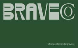 Brand Identity for Brave Co. - thumbnail 2