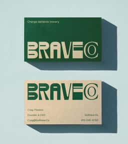 Brand Identity for Brave Co. - thumbnail 3