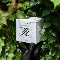 Brand Identity for Wilshire Madison - thumbnail 3