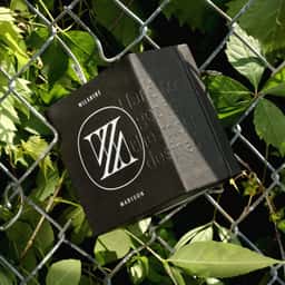 Brand Identity for Wilshire Madison - thumbnail 4