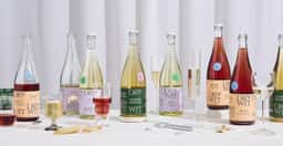 Brand Identity for Dry Wit Beer - thumbnail 2