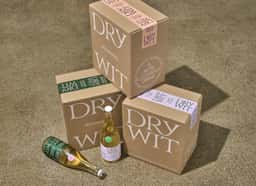 Brand Identity for Dry Wit Beer - thumbnail 8