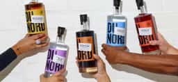 Brand Identity for Du Nord Social Spirits - thumbnail 2