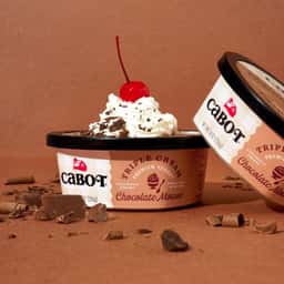 Packaging Design for Cabot Triple Cream Yogurt - thumbnail 6