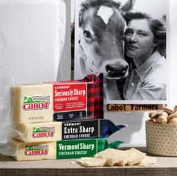 Packaging Redesign for Cabot Cheese - thumbnail 6