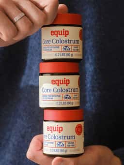 Equip - thumbnail 10
