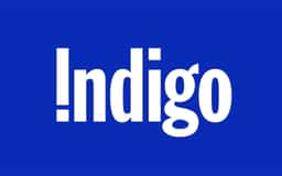 Indigo - thumbnail 3