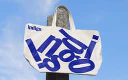 Indigo - thumbnail 7