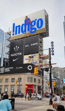 Indigo Campaign - thumbnail 3