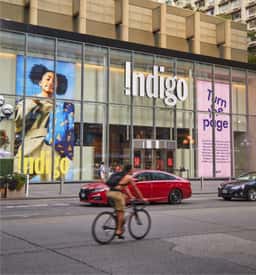 Indigo Campaign - thumbnail 6