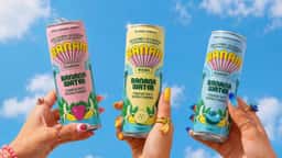 Brand Identity and Packaging for Banam Banana Water - thumbnail 8