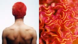 Editorial Photography for Numéro Netherlands - thumbnail 5