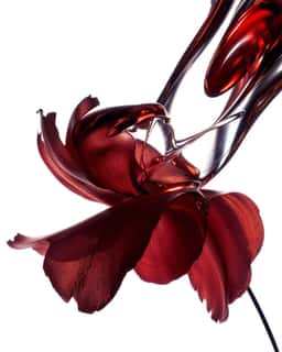CGI Campaign Visuals for Shiseido Ultimune - thumbnail 6