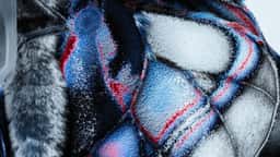 Motion Design for a Butterfly Research Project - thumbnail 3
