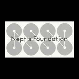 Brand Identity for Neptis Foundation - thumbnail 1