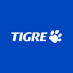 Brand Identity for Tigre and Grupo Tigre - thumbnail 1