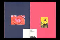 ÉSAC Cambrai — Student Guide - thumbnail 2