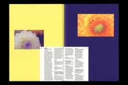 ÉSAC Cambrai — Student Guide - thumbnail 3