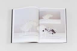Benjamin Graindorge - thumbnail 5