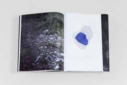 Benjamin Graindorge - thumbnail 8