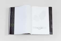 Benjamin Graindorge - thumbnail 9