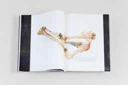 Benjamin Graindorge - thumbnail 10