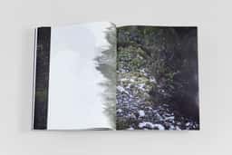 Benjamin Graindorge - thumbnail 11
