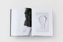 Benjamin Graindorge - thumbnail 12