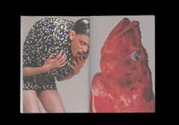 Carcy Magazine - thumbnail 13