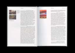 Avant l'orage, Bourse de Commerce — Pinault Collection - thumbnail 6